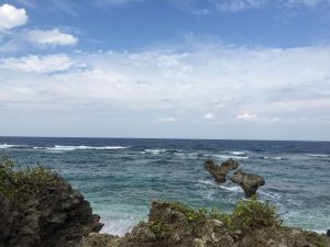 Okinawa171125 - (5) Heart Rock of Kouri - 27