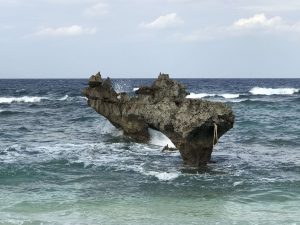 Okinawa171125 - (5) Heart Rock of Kouri - 29