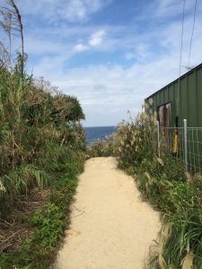 Okinawa171125 - (5) Heart Rock of Kouri - 3