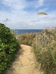 Okinawa171125 - (5) Heart Rock of Kouri - 5