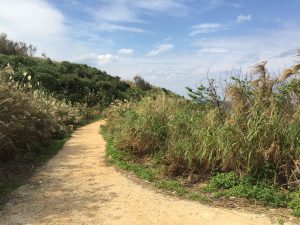 Okinawa171125 - (5) Heart Rock of Kouri - 7