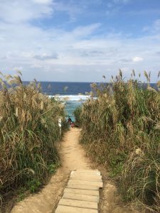 Okinawa171125 - (5) Heart Rock of Kouri - 9