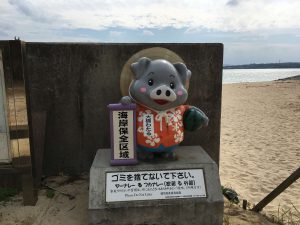 Okinawa171125 - (6) Kouri Beach - 53
