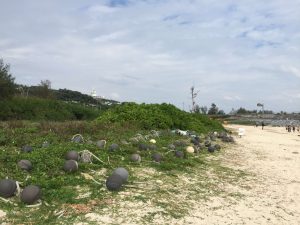 Okinawa171125 - (6) Kouri Beach - 69