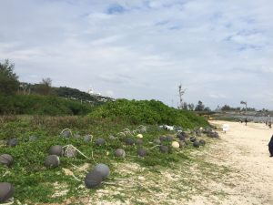 Okinawa171125 - (6) Kouri Beach - 70