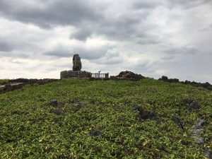 Okinawa171125 - (8) Cape Hedo - 19