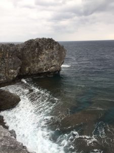 Okinawa171125 - (8) Cape Hedo - 25