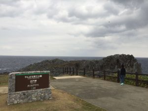 Okinawa171125 - (8) Cape Hedo - 33