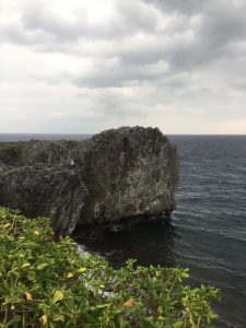 Okinawa171125 - (8) Cape Hedo - 37
