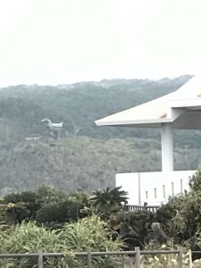 Okinawa171125 - (8) Cape Hedo - 40