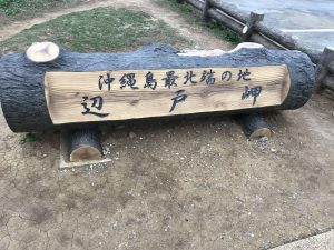 Okinawa171125 - (8) Cape Hedo - 5
