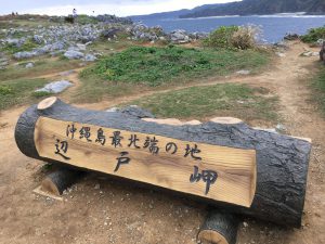 Okinawa171125 - (8) Cape Hedo - 6