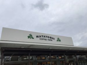 Okinawa171125 - (9) Kaguyahime - 2