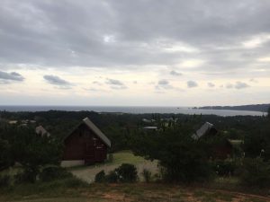 Okinawa171125 - (9) Kaguyahime - 24