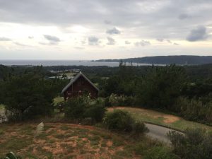 Okinawa171125 - (9) Kaguyahime - 28