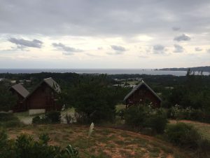 Okinawa171125 - (9) Kaguyahime - 29
