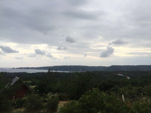 Okinawa171125 - (9) Kaguyahime - 30
