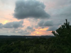 Okinawa171125 - (9) Kaguyahime - 47