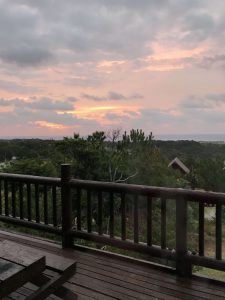 Okinawa171126 - (1) Kaguyahime - 1