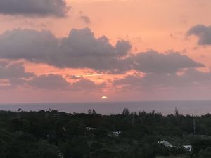 Okinawa171126 - (1) Kaguyahime - 6