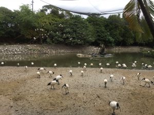 Okinawa171126 - (2) Neopark - 1
