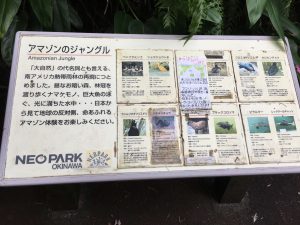 Okinawa171126 - (2) Neopark - 26