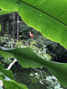 Okinawa171126 - (2) Neopark - 27