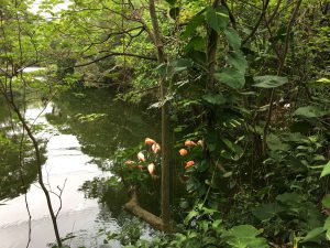 Okinawa171126 - (2) Neopark - 29