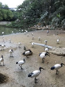 Okinawa171126 - (2) Neopark - 3