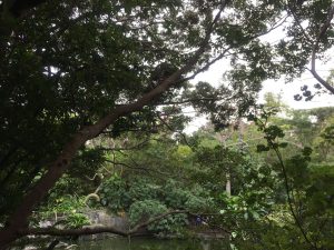 Okinawa171126 - (2) Neopark - 32
