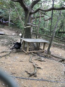 Okinawa171126 - (2) Neopark - 36
