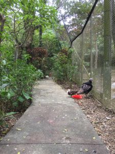 Okinawa171126 - (2) Neopark - 40