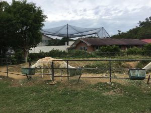 Okinawa171126 - (2) Neopark - 75