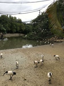 Okinawa171126 - (2) Neopark - 8