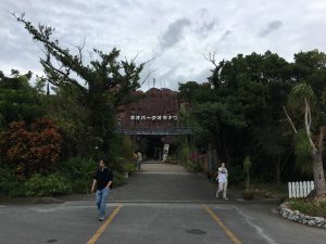 Okinawa171126 - (2) Neopark - 93