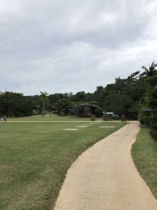 Okinawa171126 - (3) Bios Hill - 25