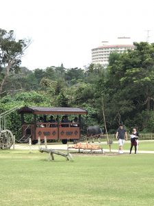 Okinawa171126 - (3) Bios Hill - 27