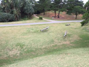 Okinawa171126 - (3) Bios Hill - 30