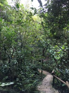 Okinawa171126 - (3) Bios Hill - 47