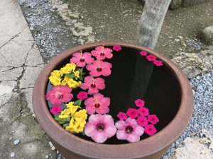Okinawa171126 - (4) Ryukyu Village - 28