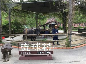 Okinawa171126 - (4) Ryukyu Village - 72