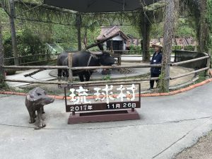 Okinawa171126 - (4) Ryukyu Village - 75