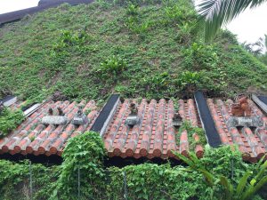 Okinawa171126 - (4) Ryukyu Village - 80