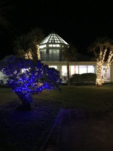 Okinawa171126 - (6) AJ Resort Island Ikeijima - 66
