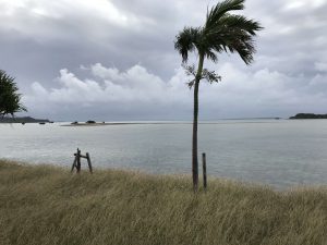 Okinawa171127 - (02) Kaichu Road - 1