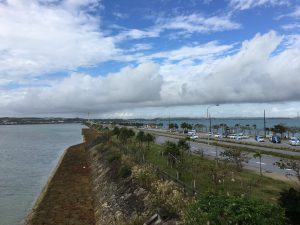 Okinawa171127 - (02) Kaichu Road - 13