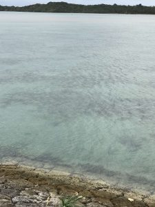 Okinawa171127 - (02) Kaichu Road - 14