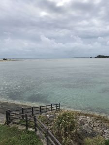 Okinawa171127 - (02) Kaichu Road - 15