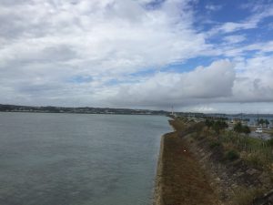 Okinawa171127 - (02) Kaichu Road - 17