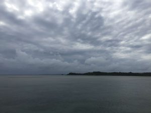 Okinawa171127 - (02) Kaichu Road - 19